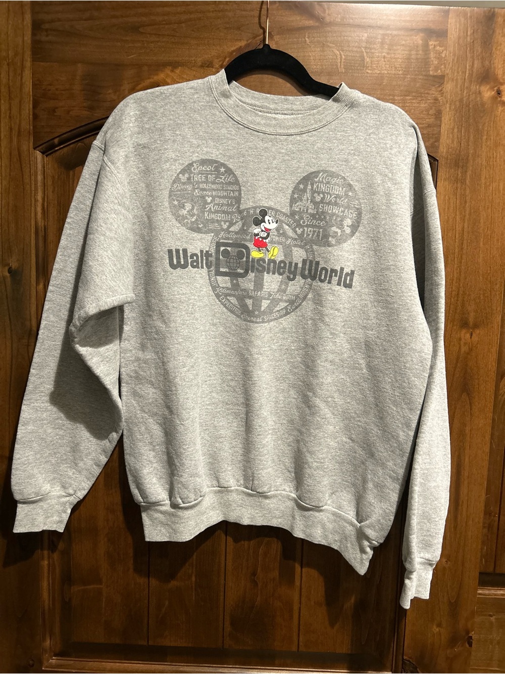 Disneyland Walt Disney World by Hanes Crewneck Sweatshirt sz M